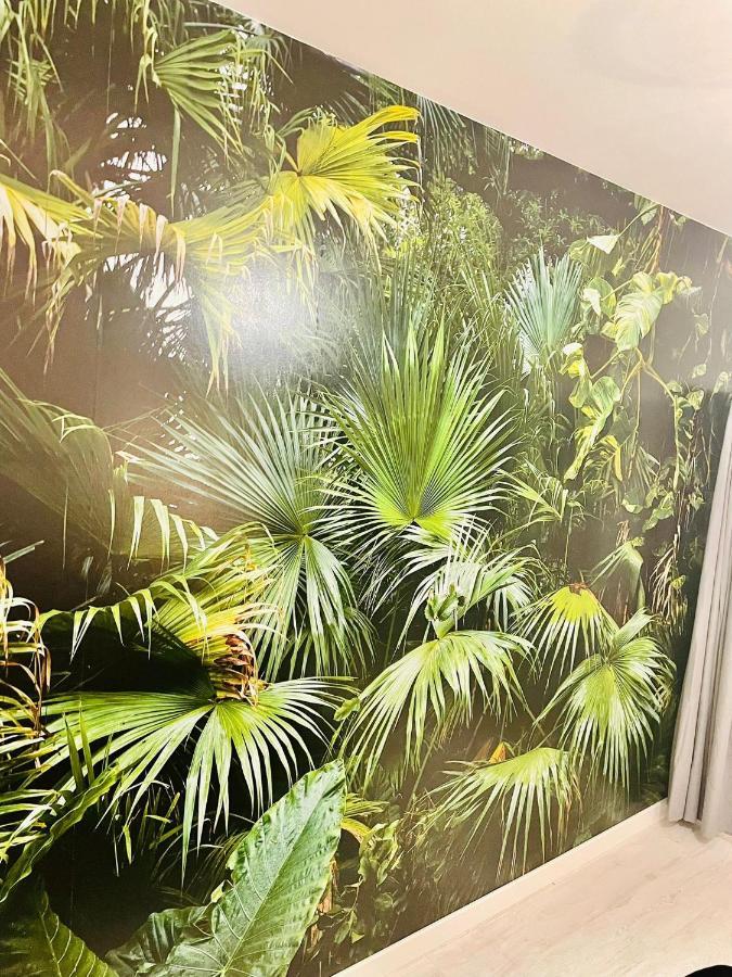 La Saveur Tropicale-Proche Centre Ville-Aeroport Beauvais Eksteriør bilde